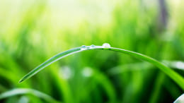 環境への取り組み